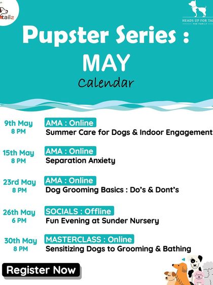 My Pupster Series calendar for May, created in partnership with Tailz and Heads Up For Tails. It shows the variety of online sessions I offer, including AMAs on separation anxiety and masterclasses on grooming.