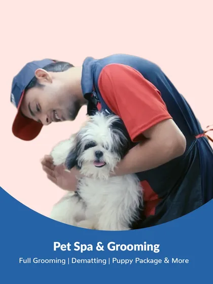 A gentle touch and a reassuring hug make all the difference, especially for first-timers. We prioritize your pet's comfort and emotional well-being, ensuring they feel safe and loved throughout their spa experience.