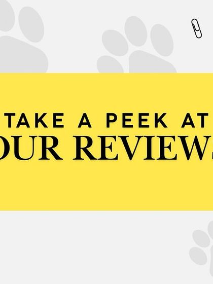 Oh My Dawg - Pet Supplies Our Community: Reviews & Adoption Drives photo 6