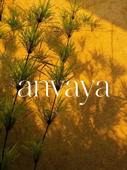 The name "Anvaya" against a backdrop of plants and shadows, representing our brand's connection to nature and design.