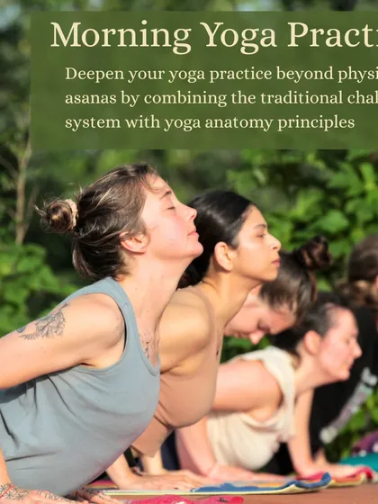 Morning asana practice is a time to energize the body and focus the mind. Students move through a sequence together, learning to connect traditional chakra system knowledge with modern yoga anatomy principles.