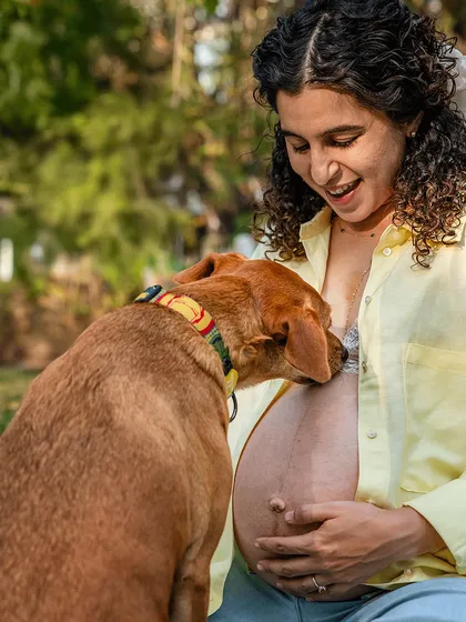 An expectant mother shares a quiet moment with her beloved Indie dog. This is what a pet sibling maternity shoot is all about, capturing the gentle bond and anticipation as your first baby prepares to welcome a new one.