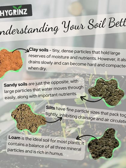 Hygrinz - Garden Maintenance Gardening Know-How: Tips & Techniques photo 3