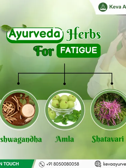 Feeling constantly tired? Ayurvedic herbs like Ashwagandha, Amla, and Shatavari can help you beat fatigue naturally by boosting stamina and restoring vitality.