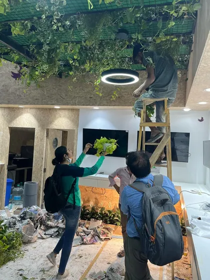 Every detail matters. Our horticulturist is seen here guiding the placement of hanging plants, ensuring the final arrangement is balanced and beautiful from every angle.