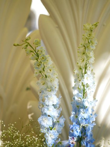 A detail of the ombre blue delphiniums against the white feather panels.
