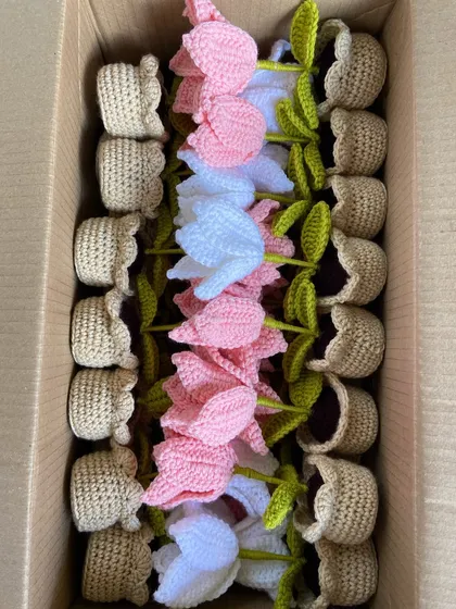 Another peek inside a box, this time with pink and white potted tulips neatly arranged.