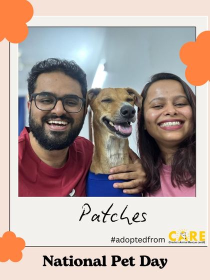 Charlie's Animal Rescue Centre - Animal Rescue & Adoption Happy Tails: Our Adoption Stories photo 30