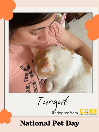 Charlie's Animal Rescue Centre - Animal Rescue & Adoption Happy Tails: Our Adoption Stories photo 25