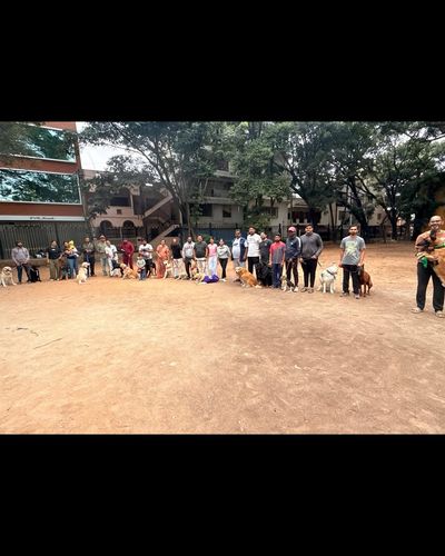 Dog Boarding & Daycare