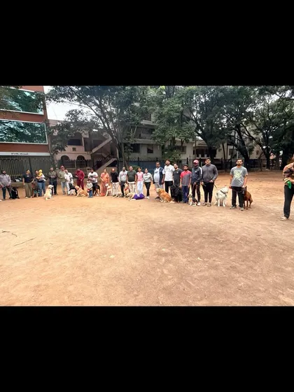 Our community is our strength. This is a snapshot from our Friendship Day celebration, bringing together dozens of dogs and their parents. It shows the wonderful community of dog lovers that has grown around K9 Gurukul.