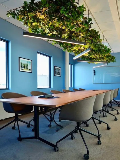 We suspended greenery above the lighting fixtures in this conference room. This innovative ceiling installation adds a unique design element and brings biophilic benefits without cluttering the table space.