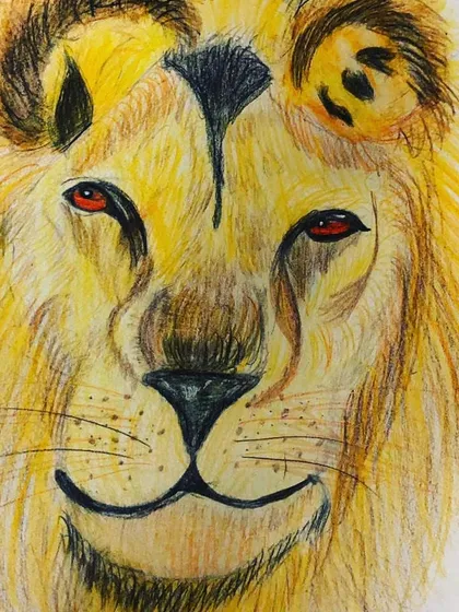 It is amazing what young hands can create. This powerful lion portrait was drawn with colored pencils by a seven year old student. I teach them how to layer colors and use strokes to create texture, like the fur in this drawing.