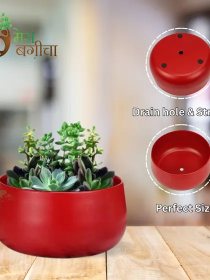 This image highlights the practical features of my red metal planter. It shows the drainage holes at the bottom for healthy roots and its perfect size for holding a small succulent arrangement.