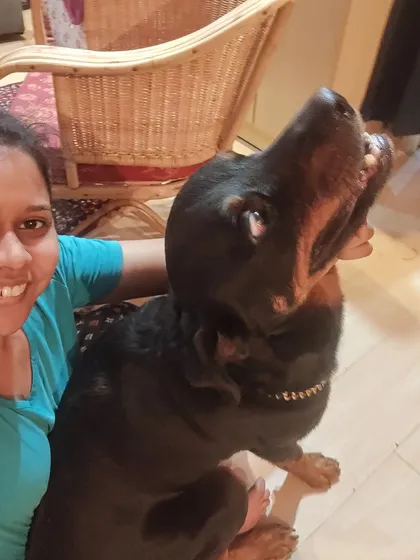 This is trust. Here’s me and Simba during a nail trimming session, no muzzle needed. It took time to get here, but building this bond is the absolute first step before any real training can begin. It’s the foundation for everything.