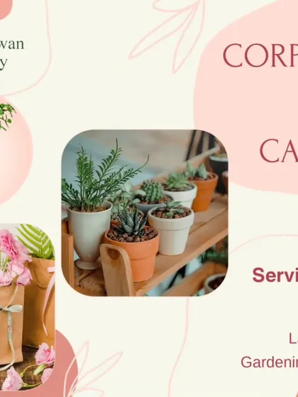 Looking for a unique corporate gift? We offer beautiful, green gifting solutions. From bulk orders of low-maintenance desk plants to full-scale landscaping services, we can help your business make a lasting, natural impression.