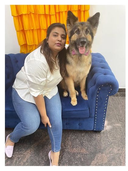 Furrybells Pet Grooming - Pet Grooming (Dogs & Cats) Breed-Specific Dog Styles photo 75