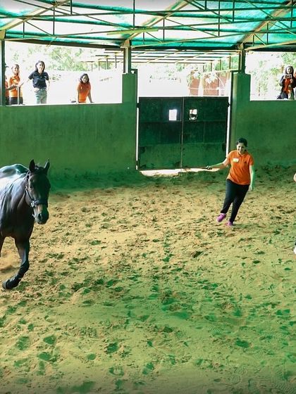 Participants in our Horse-Assisted Education program learn to work together in the arena. These activities are designed to be hands-on, inspiring meaningful change and strengthening team dynamics.