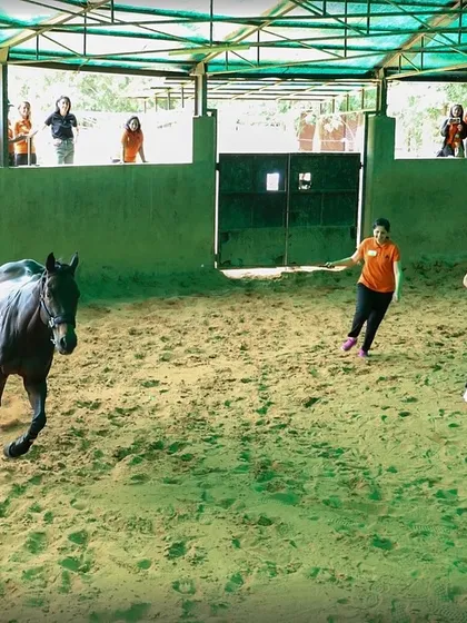 Participants in our Horse-Assisted Education program learn to work together in the arena. These activities are designed to be hands-on, inspiring meaningful change and strengthening team dynamics.