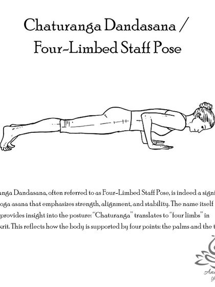 Anagha Yoga - Therapeutic Yoga Yoga Foundations: Asana Library photo 28