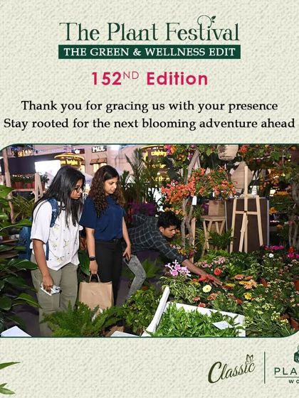 The Festival Vibe: A Celebration of Nature photo 13