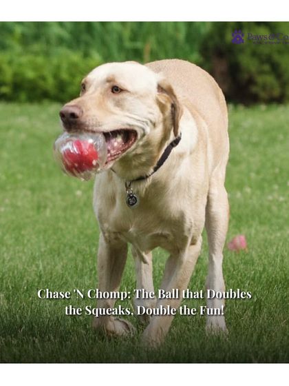 PawsnCollars - Pet Supplies Playtime & Enrichment Toys photo 8