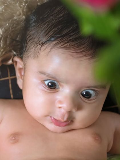 Those big, expressive eyes say it all. This "angry bird" look is full of personality and makes for a funny and unforgettable portrait.