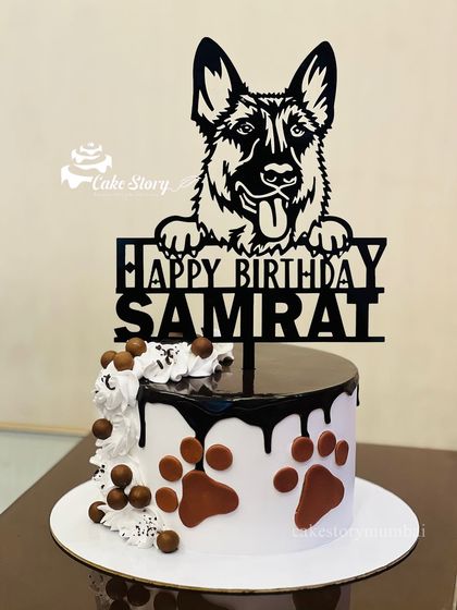 Another view of the handsome German Shepherd's birthday cake. Pets are family, and they deserve a celebration too!