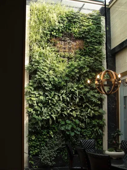 An indoor green wall installed in a tall atrium with a skylight. This brings the feeling of a garden indoors, improving air quality and creating a stunning visual centerpiece.