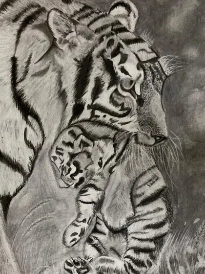 A touching charcoal piece by my 13-year-old student, Aryan, showing a mother tiger with her cub. This drawing demonstrates his ability to convey emotion and a sense of connection.