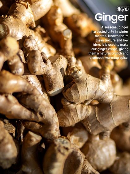 I source seasonal ginger harvested only in the winter months for my Ginger Crisps. Its low fibre and clean texture give the crisps a natural crunch and a smooth, warming spice.