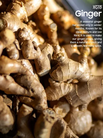 This is the seasonal ginger, or adrak, that I use, harvested only in the winter months. It's known for its low fibre and clean texture, which gives my ginger crisps a smooth, natural crunch.