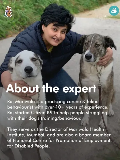 The Pack - Pet Parent Education & Workshops Awaara Nahi, Humara Hai: Community Dog Advocacy photo 5