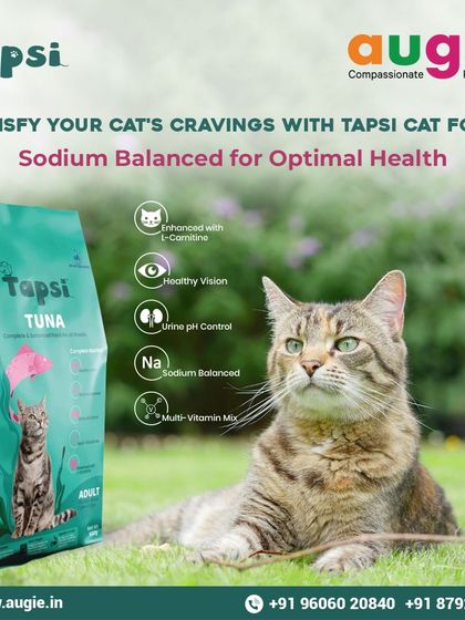 Augie Pets - Pet Supplies For Our Feline Friends: Premium Cat Nutrition photo 38