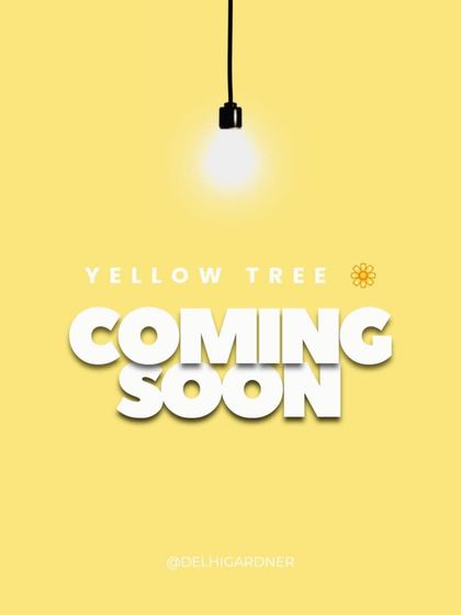 Delhi Gardner - Full-Service Landscaping Large-Scale Landscaping: Commercial & Residential Projects photo 34