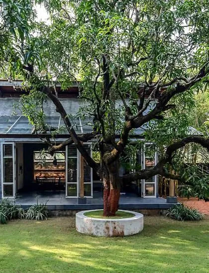 The Shell, our design lab and pavilion in Alibag, is built around a magnificent mango tree. The structure is designed to be a multi-functional space for talks, exhibitions, and residencies, fully integrated with its green surroundings.