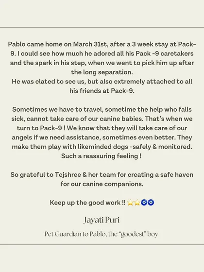 Nothing makes me prouder than hearing from happy guardians. This wonderful review from Pablo's family is a testament to our safe, structured, and loving environment at the Pack-9 center. We are your dog's home away from home.