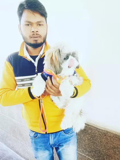 I welcome pets of all sizes. This fluffy Shih Tzu is one of the many small breed dogs I've cared for, providing gentle handling and specialized attention based on their needs.
