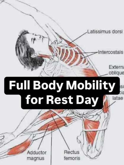 Active recovery is a crucial part of any training plan. This image highlights the importance of full-body mobility on rest days to improve flexibility, aid recovery, and keep the body moving well.