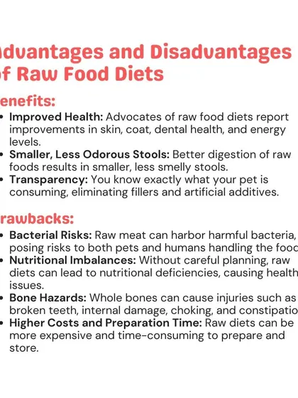 The raw food diet is a popular topic, and it's important to understand both the benefits and the risks. I provide balanced, factual advice to help you make the best nutritional choices for your pet.