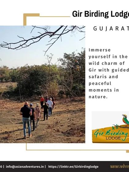 A group of guests on a guided nature walk at Gir Birding Lodge in Gujarat. Our lodges offer more than just safaris; they provide immersive experiences to connect with the local ecosystem.