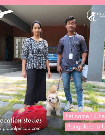 Global Pet Cab - International Pet Relocation Our Pawsengers: Dog Journeys photo 15