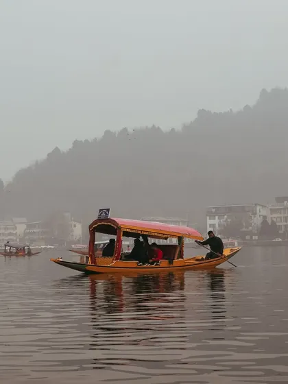 A classic yellow shikara glides across the calm, misty waters of Dal Lake in Srinagar. This is the timeless, tranquil beauty of Kashmir.