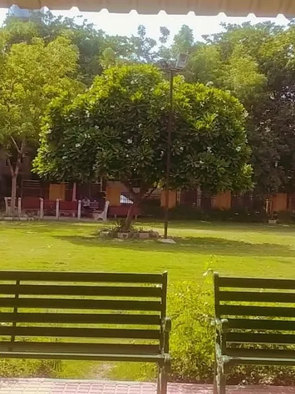 A view of Mehandi Park in Gurgaon, a public space I help maintain. My work here involves ensuring the lawns are healthy, the trees are cared for, and the space remains a clean and inviting area for the community to enjoy.