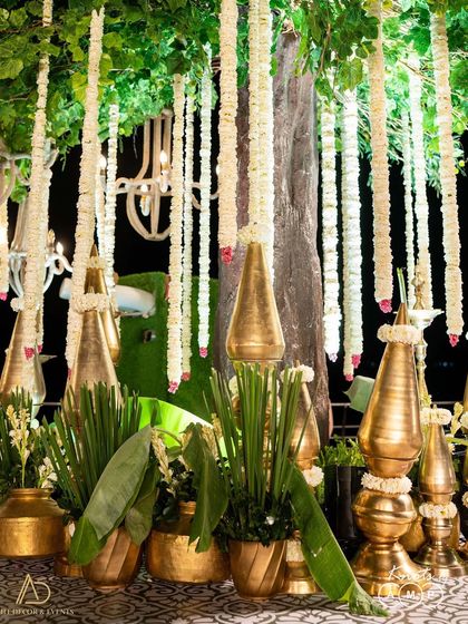 Royal Indian Heritage photo 16