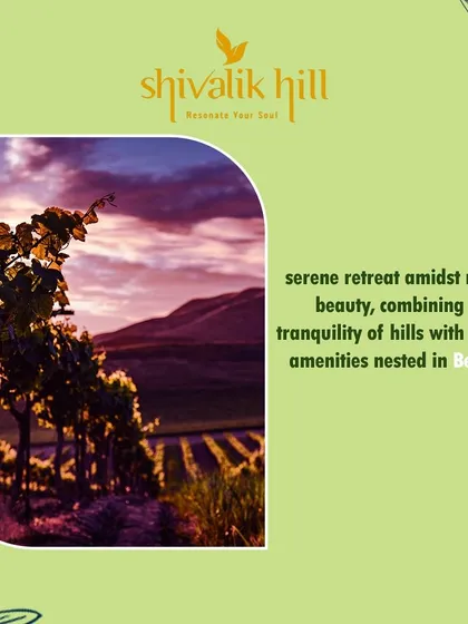 Another glimpse of our Shivalik Hill project in Belalam. The image captures the essence of a tranquil retreat, combining the beauty of a vineyard at sunset with the promise of modern comforts.