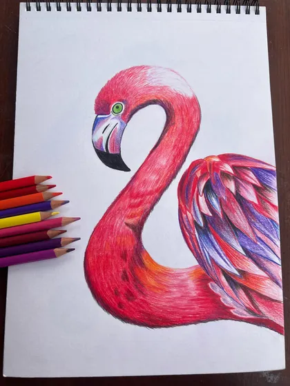 Close-up shots of a beautifully rendered flamingo, created with color pencils to showcase vibrant colors and fine details.