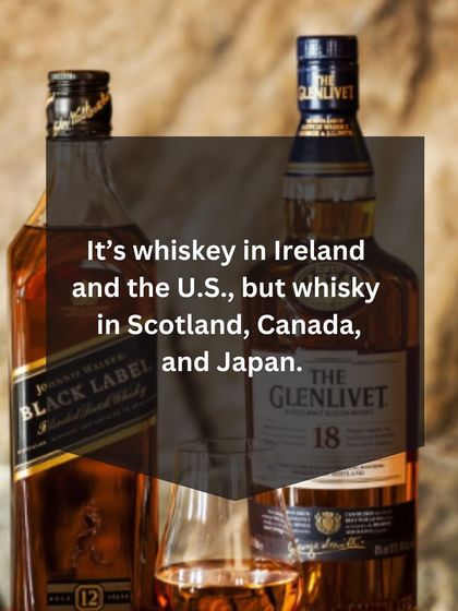 Flairology - Bartender Training & Certification Spirits & Ingredients Deep Dive photo 37