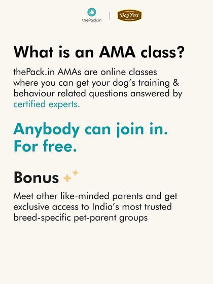 The Pack - Online Pet Parent Community Free 'Ask Me Anything' (AMA) Classes photo 6