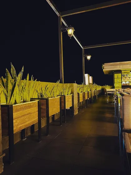 A row of custom wooden planters with tall snake plants creates a green barrier along the edge of the rooftop. This design choice adds privacy and a strong linear element to the overall landscape plan.